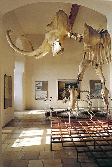 Mamut Ur- und Frühgeschichte Museum