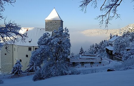 Burg Prunn im Winter