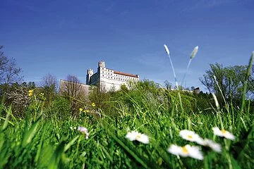 Willibaldsburg im Frühling