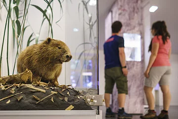 Austellung des Informationszentrum Naturpark Altmühltal