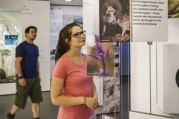 Zwei Besucher des Informationszentrum sind im ersten Stock der Ausstellungsräume und betrachten die Tafeln über die heimischen Tiere.