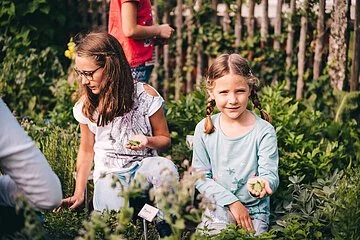 Zwei kniende Mädchen pflücken Kräuter im sommerlichen Bauerngarten.