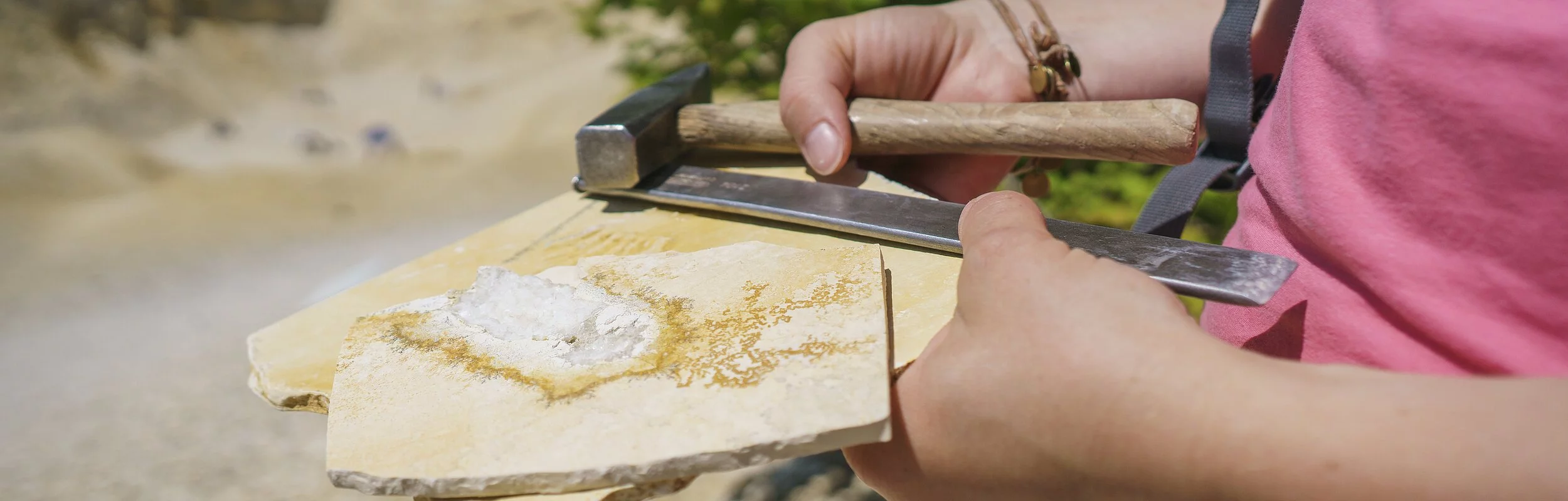 Fossiliensteinbruch Blumenberg bei Eichstätt