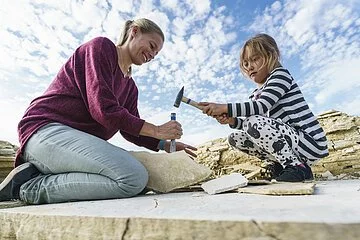 Fossiliensuchen im Steinbruch Mühlheim