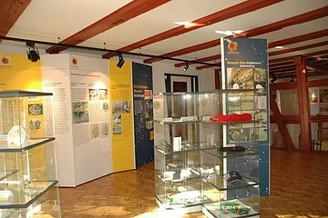 Vitrinen mit verschiedenen Ausstellungsobjekten im Geopark Infozentrum in Nördlingen