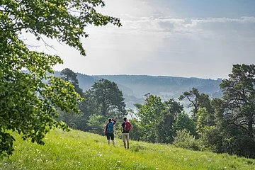 Wanderer im Anlautertal