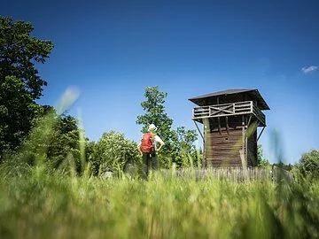 Limes-Wanderweg (Burgsalach)