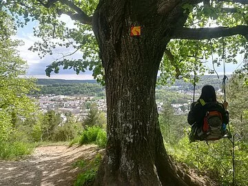 AugustusTours Ausblick über Eichstätt