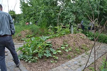 Ernte im Jura-Bauernhof-Museum Ein Garten mit Gemüsepflanzen ist zu sehen. Am linken Bildrand steht ein Mann.