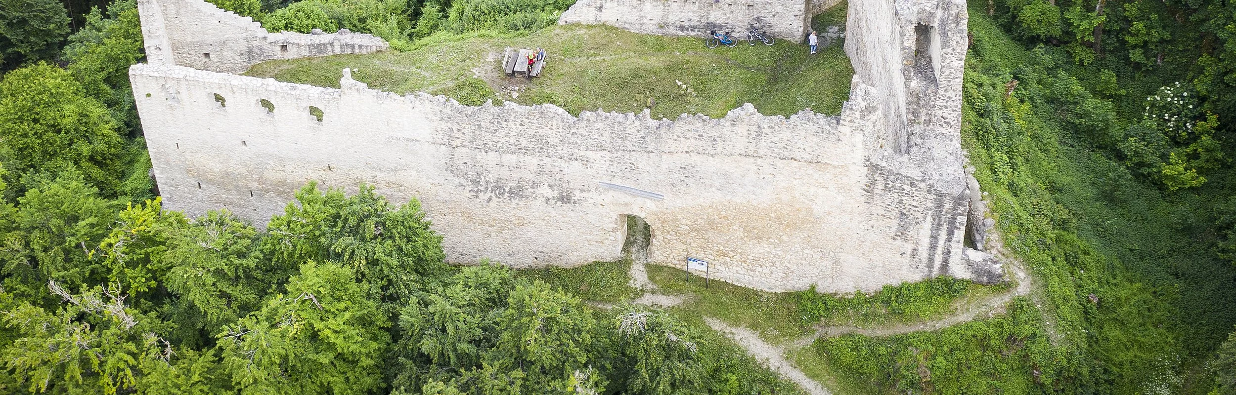 Die Ruine der Rumburg von oben. Der Grundriss ist gut erkennbar. Die Burg ist umgeben von Gras und Bäumen.