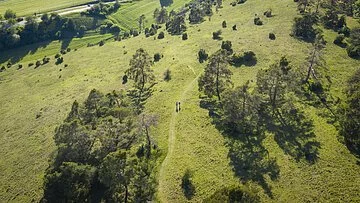 Wanderer auf der Gungoldinger Wacholderheide