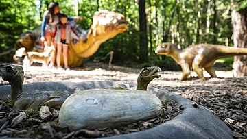 Dinosauriermuseum in Denkendorf