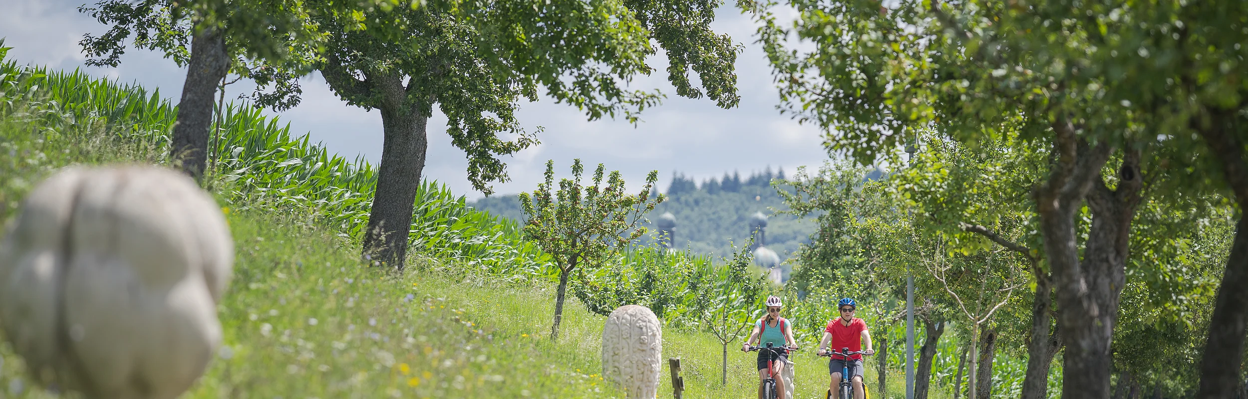 Ein Pärchen radelt durch eine Allee. Am Wegrand stehen Steinfiguren und im Hintergrund sind die Kirchtürme von St. Emmeran in Wemding zu sehen.