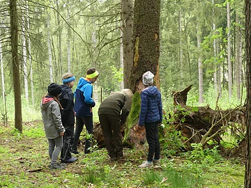 Kinder im Wald Vier Kinder und eine Frau stehen im grünen Wald vor einer Fichte. Im Zentrum die Frau in braun gekleidet, beugt sich zum Boden. Link von ihr stehen drei Kinder, rechts das vierte. Alle schauen interessiert auf den Boden vor dem Fichtenstamm.