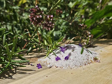 Auf einem Holzbrett mit im Hintergrund Büsche und Sträucher liegt das frische Kräutersalz auf dem Brett.