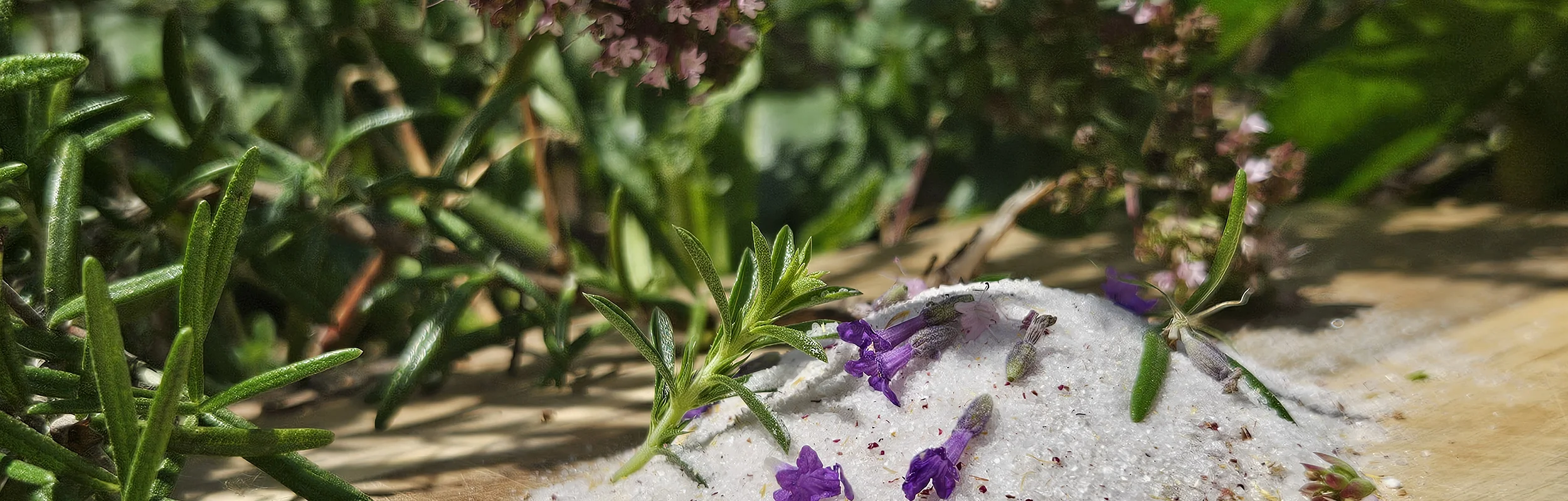 Auf einem Holzbrett mit im Hintergrund Büsche und Sträucher liegt das frische Kräutersalz auf dem Brett.