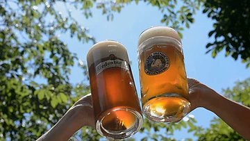 Zwei Personen mit Bierkrüge in der Hand stoßen im Sonnenschein an.
