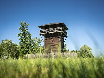 Limes-Wanderweg bei Burgsalach Holzturm mit Aussichtsplattform, umgeben von Bäumen und Wiese, unter klarem blauem Himmel.