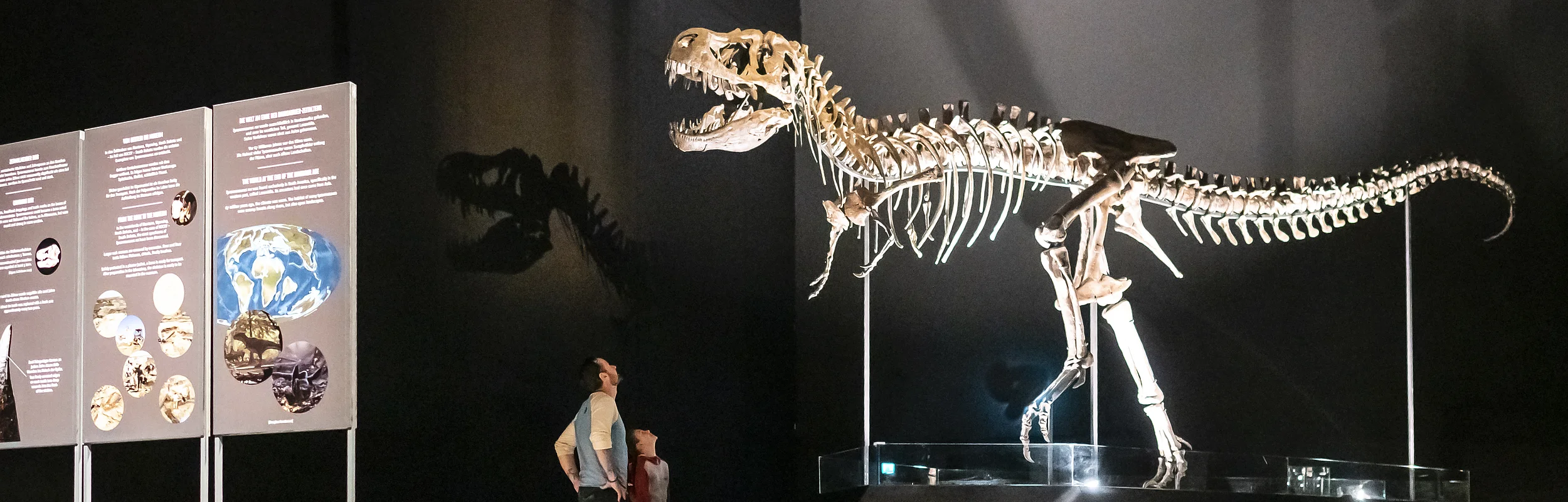 Personen betrachten ein Dinosaurierskelett in einem Museum neben Informationstafeln.