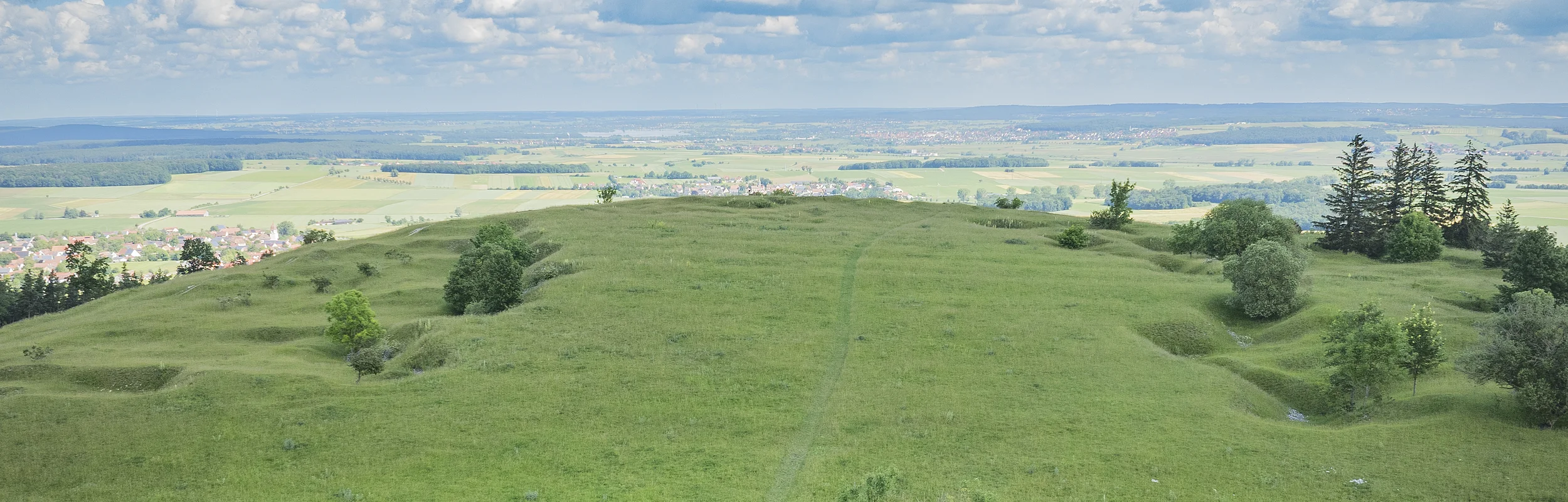 Weite grüne Wiesenlandschaft mit vereinzelten Bäumen, im Hintergrund ein Dorf und blauer Himmel mit Wolken.