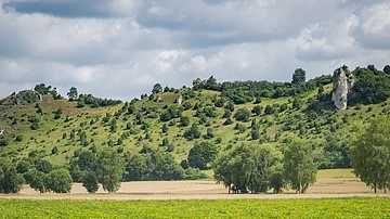 Hügelige Landschaft mit grünen Bäumen und Sträuchern, im Vordergrund ein Feld, bewölkter Himmel.