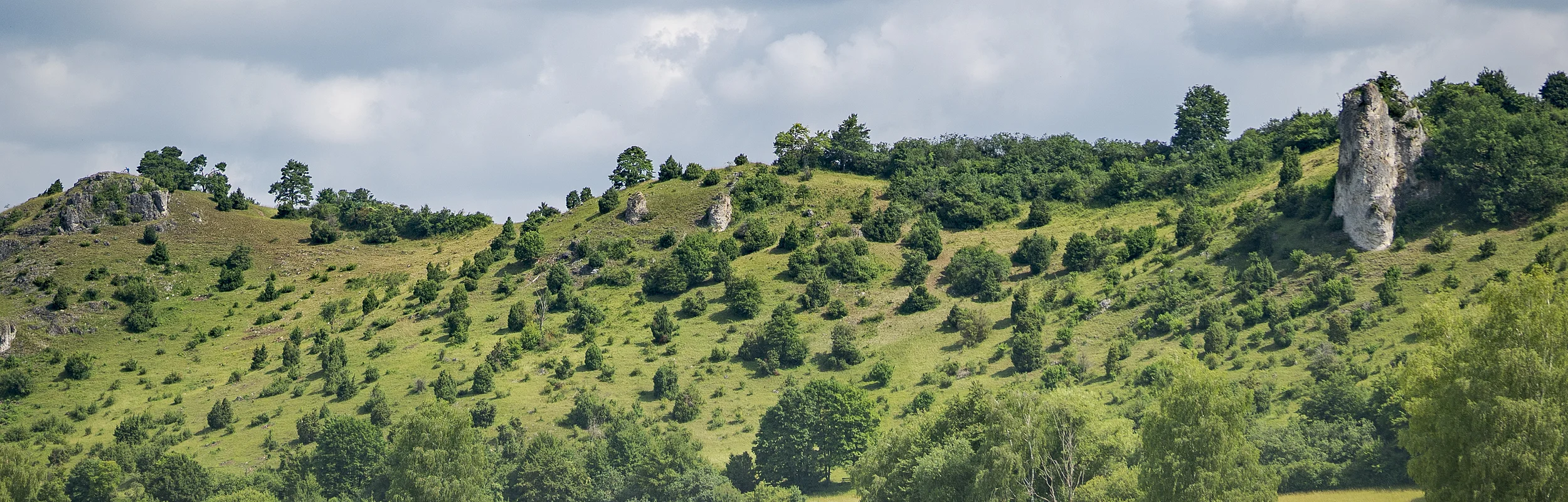 Hügelige Landschaft mit grünen Bäumen und Sträuchern, im Vordergrund ein Feld, bewölkter Himmel.