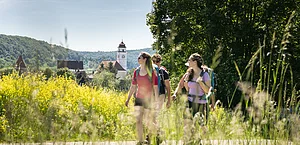 Drei Wanderer mit Rucksäcken auf Weg vor gelben Blumen und Dorf mit Kirchturm im Hintergrund