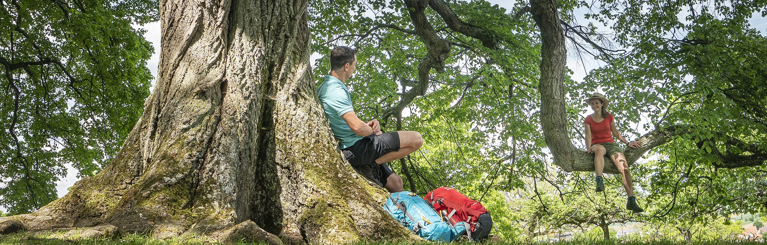 Mann sitzt am Baumstamm, Frau sitzt auf Ast, zwei Rucksäcke liegen auf Gras unter Baum.