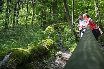 Zwei Personen lehnen an einem Geländer im Wald neben einem moosbedeckten Baumstamm mit Wasserfluss.
