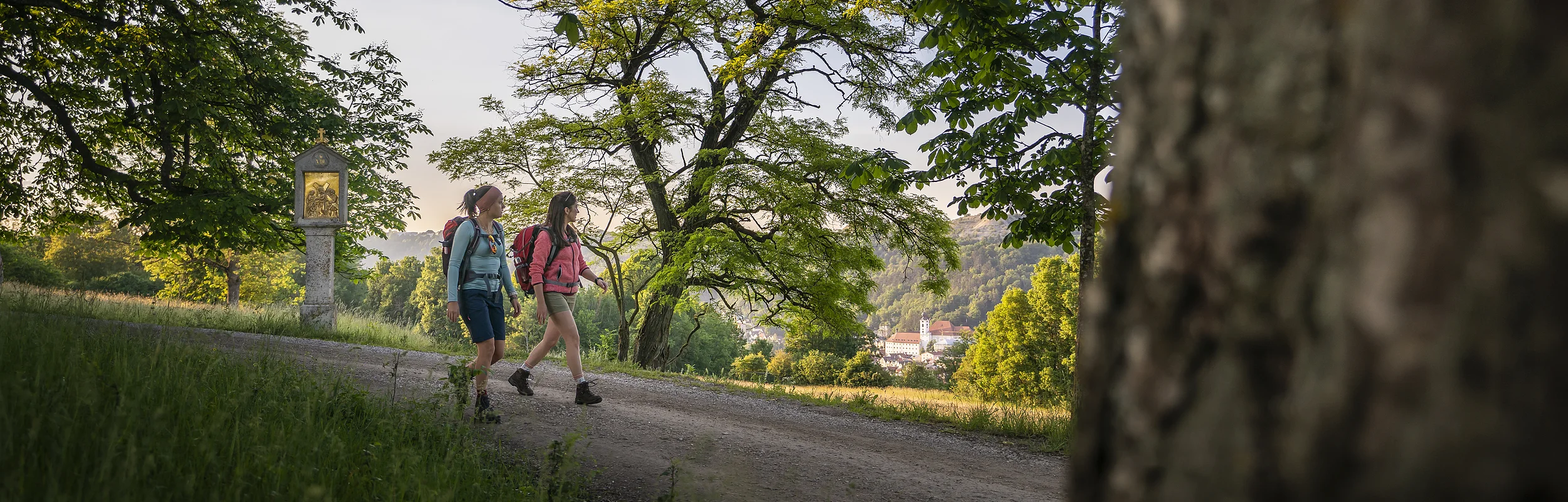 Zwei Wanderer mit Rucksäcken gehen auf einem Waldweg, umgeben von Bäumen und grüner Landschaft.