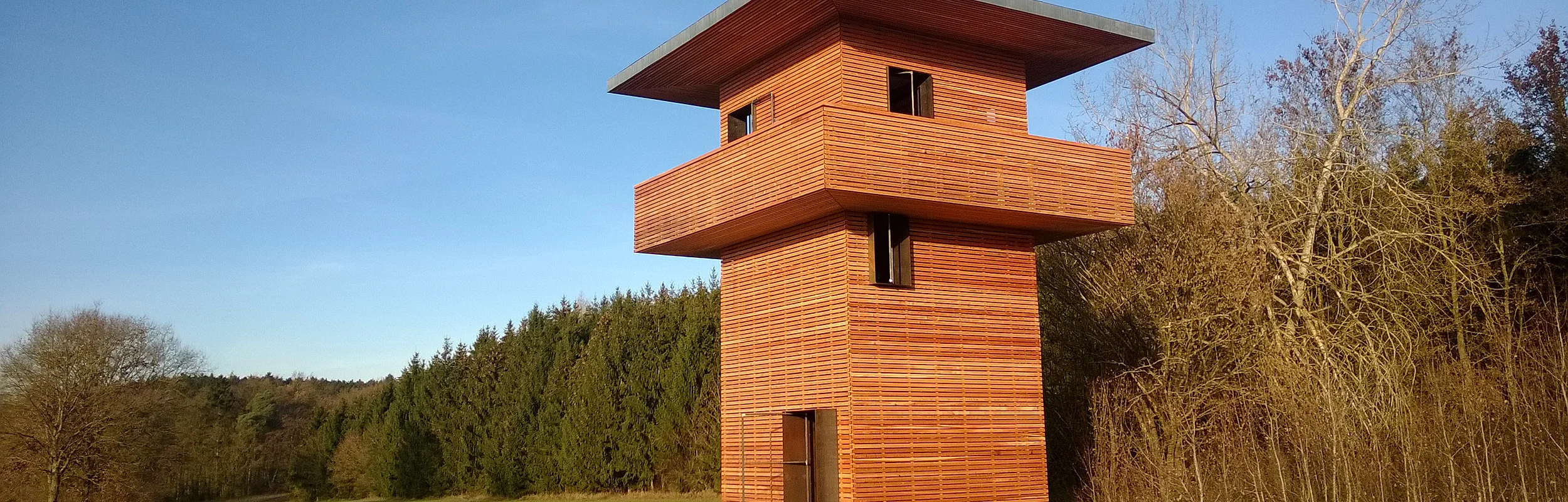 Holzbeobachtungsturm mit umlaufendem Balkon in einer Wiesenlandschaft neben Wald und kahlen Bäumen bei blauem Himmel
