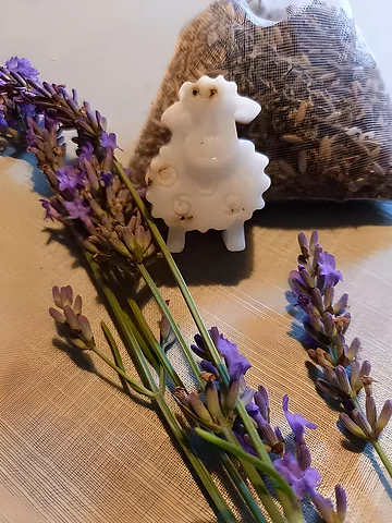 Eine Lavendelseife in Schäfchenform liegt auf einem Tisch, dekoriert mit blühendem Lavendel