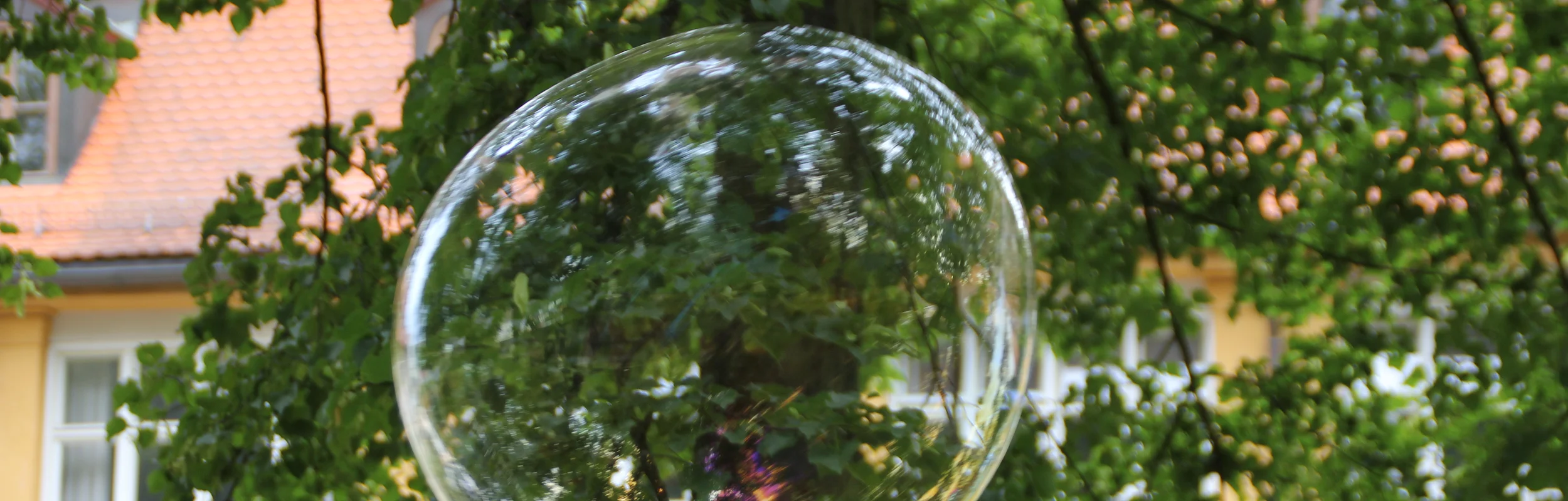 Eine riesige Seifenblase schwebt in der Höhe, hinter ihr die grünen Äste eines Baumes. Durch diese ist ein Gebäude zu erkennen.