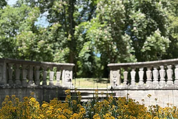 Ein Beet mit Planzen im Vordergrund wird von einer Mauer abgegrenzt. Ein steinerner Weg führt auf eine höhere Ebene mit Bäumen