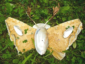 Schmetterlingsform aus Muscheln und Blättern auf grünem Gras liegend.