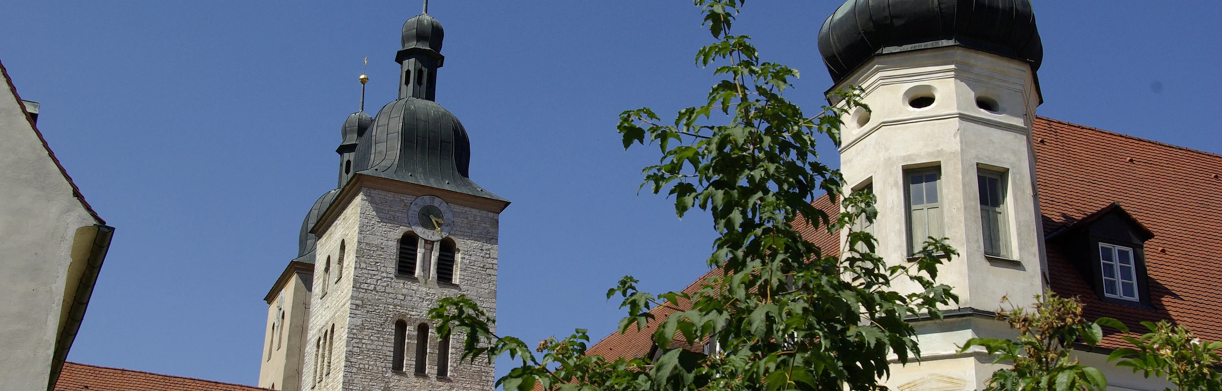 Kirchturm mit Zwiebelkuppel und Gebäude mit rotem Dach vor blauem Himmel und grünen Büschen im Vordergrund.
