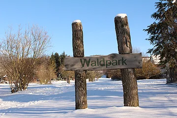 Holzschild mit der Aufschrift „Waldpark“ zwischen zwei Baumstämmen im verschneiten Park unter blauem Himmel