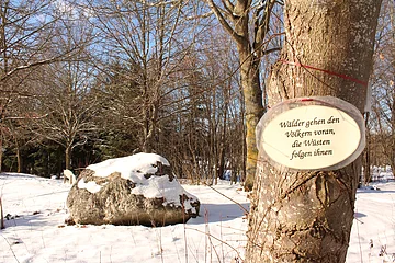 Baum mit Schild „Wälder gehen den Völkern voran, die Wüsten folgen ihnen“ im verschneiten Wald mit Felsen im Hintergrund.