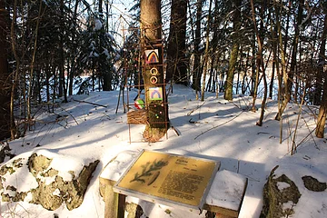 Infotafel über Fichte im verschneiten Wald mit Baum und bunten Dekorationen am Stamm.