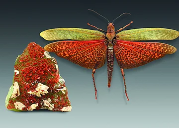 Kristall mit Schmetterling