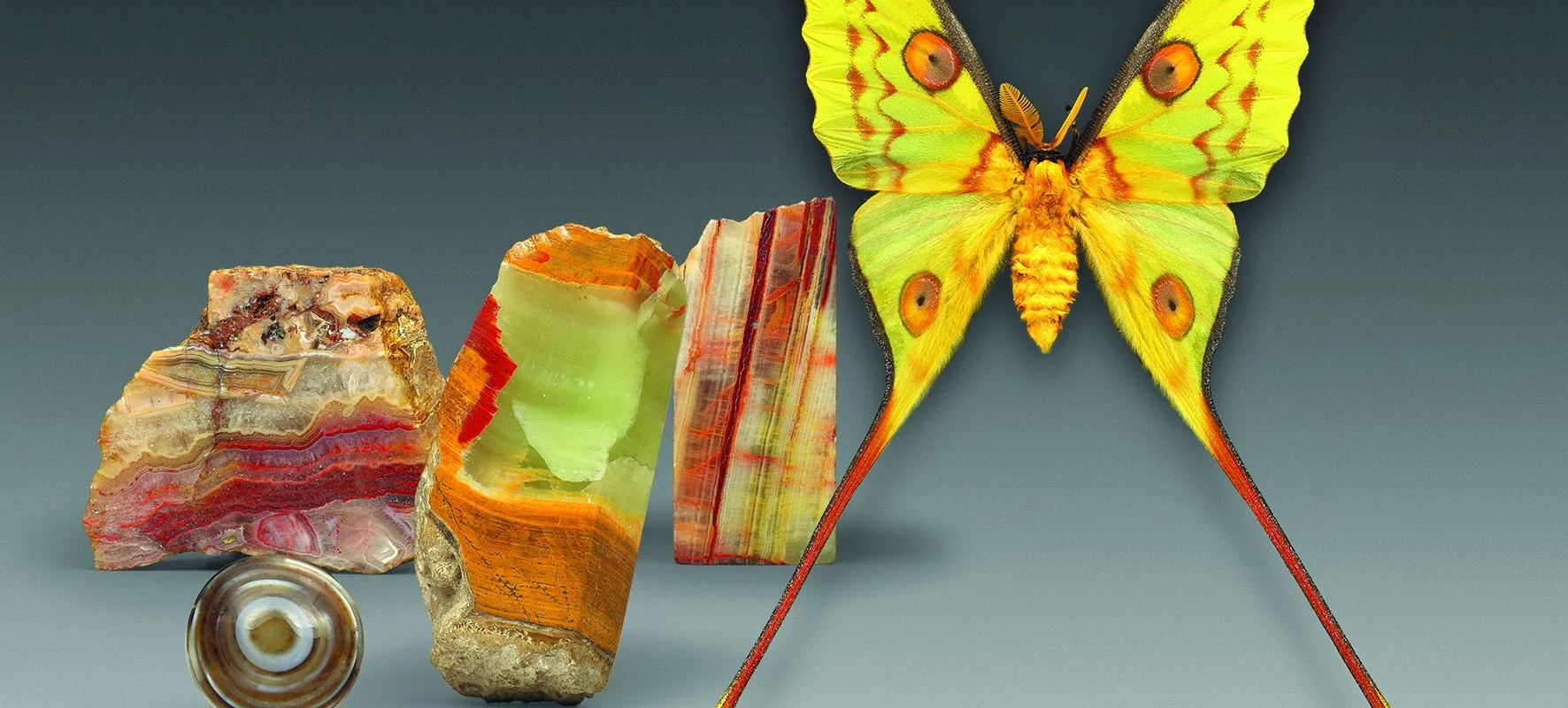 Kristall mit Schmetterling