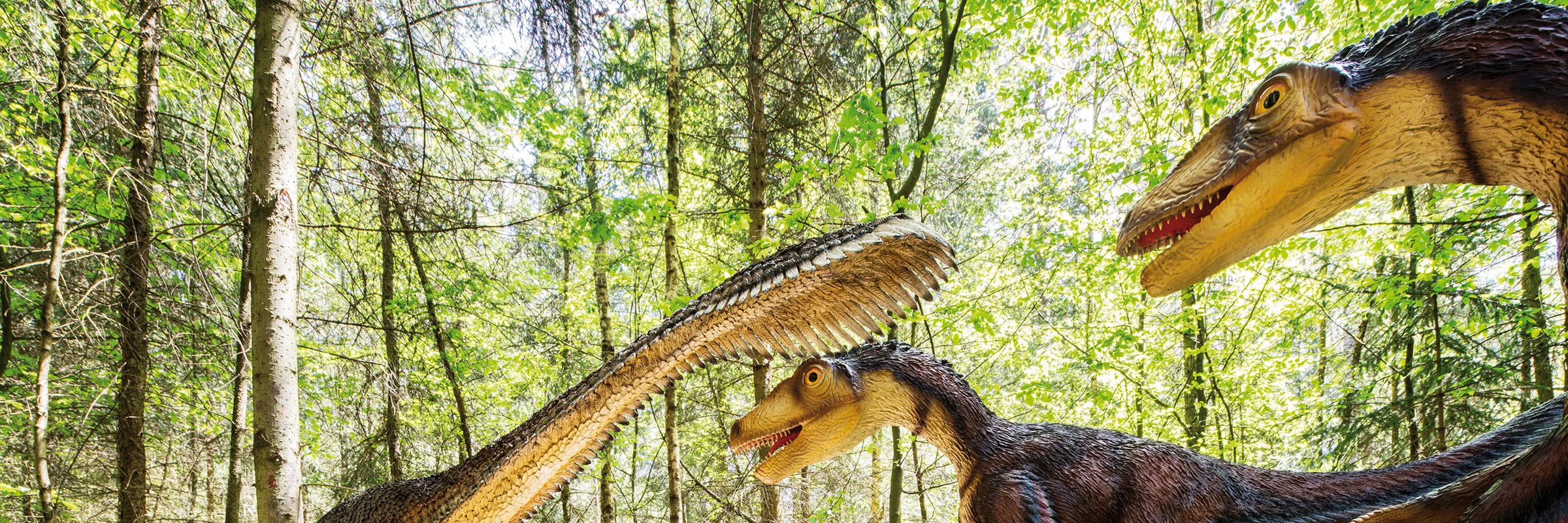 Dinosaurier Museum Altmühltal Denkendorf