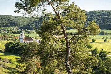 Gungoldinger Wacholderheide