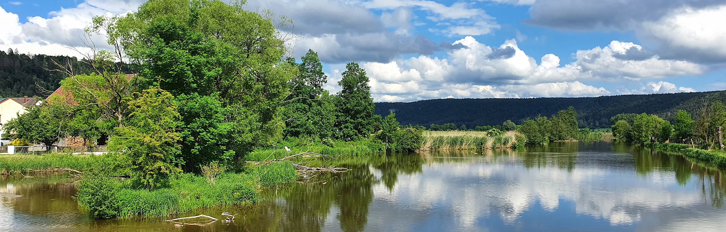 Fluss mit grünen Bäumen am Ufer und Wolkenreflexion im Wasser unter blauem Himmel.