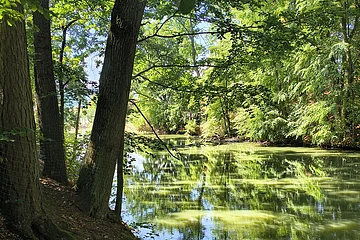 Bank am schattigen Ufer eines Flusses mit Bäumen und Spiegelungen im Wasser bei Sonnenschein