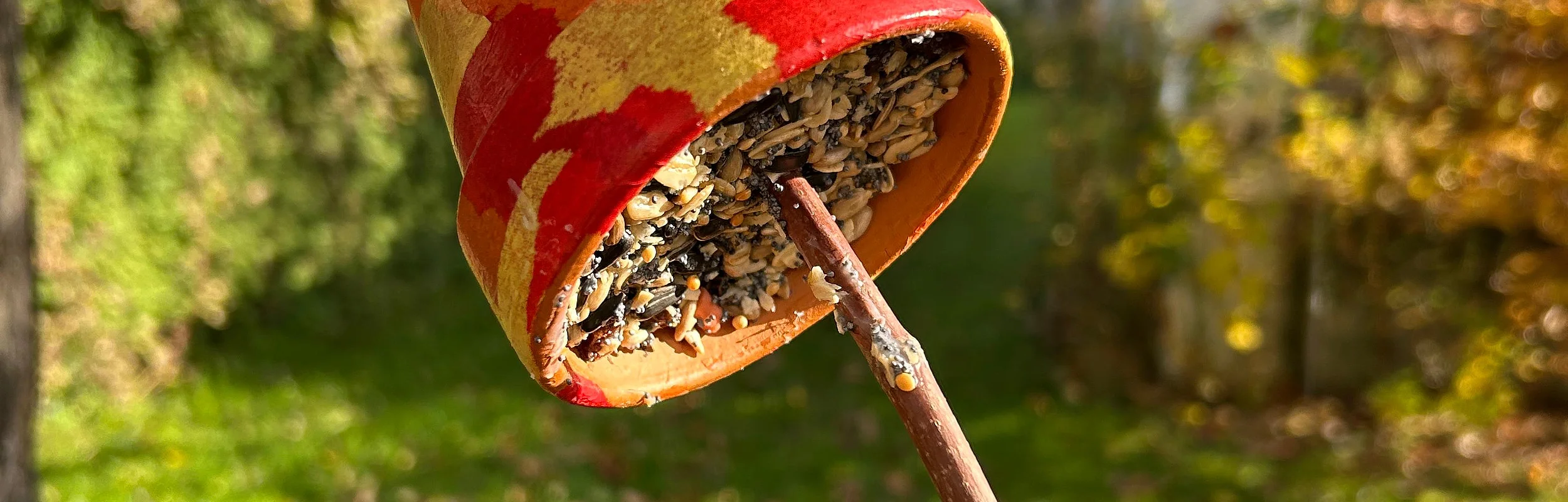 Hand hält bemalten Blumentopf mit Vogelfutter an einem Ast vor unscharfem Gartenhintergrund im Herbst