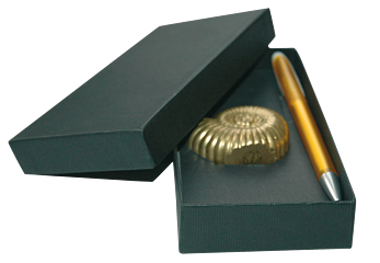 Geschenkbox Ammonit mit Kugelschreiber