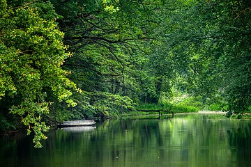 Karlsgraben (wie am Amazonas)