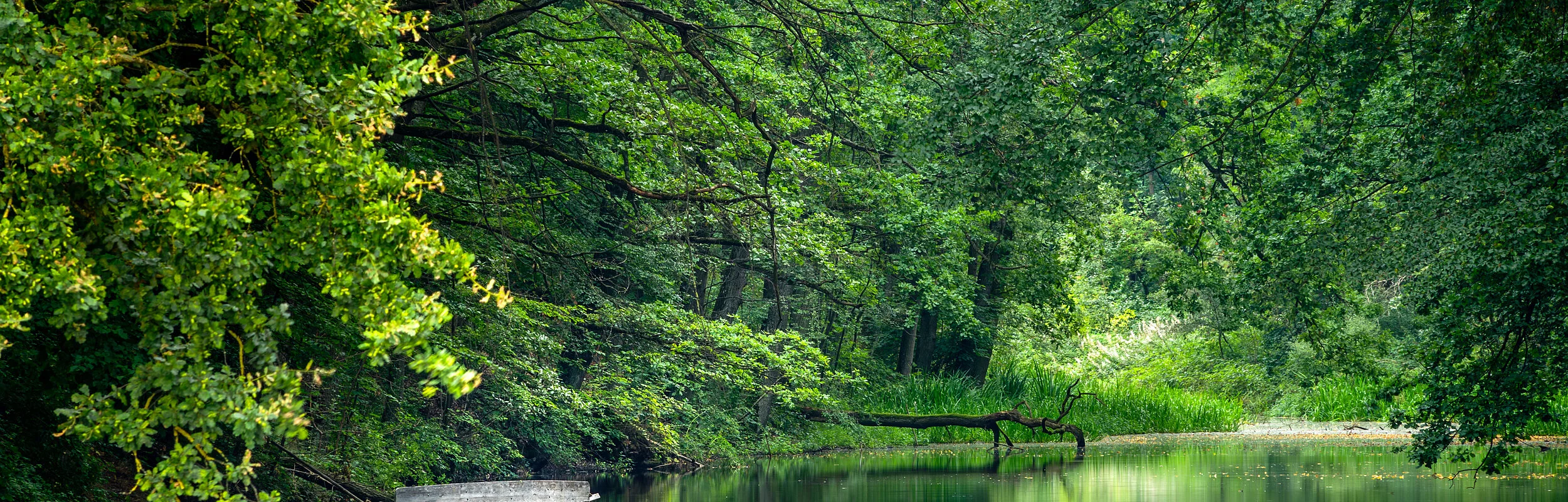 Karlsgraben (wie am Amazonas)