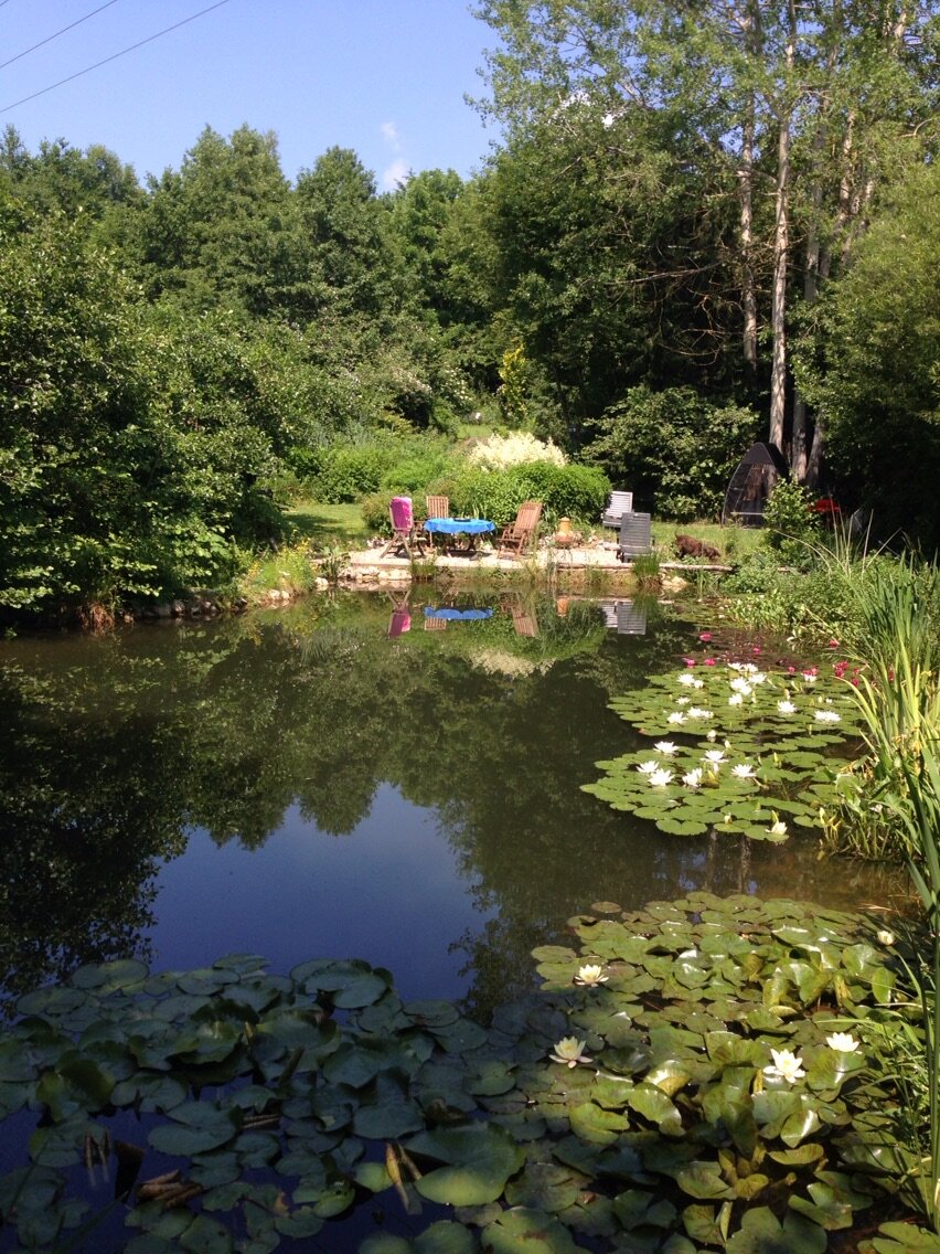 Bärbels Garten Naturpark Altmühltal